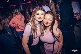 Pink Bunny 04.04.26